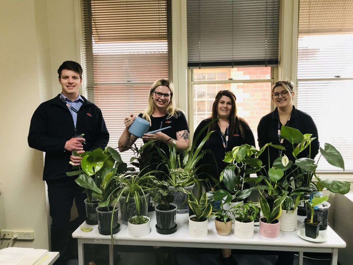 CVGT staff watering plants