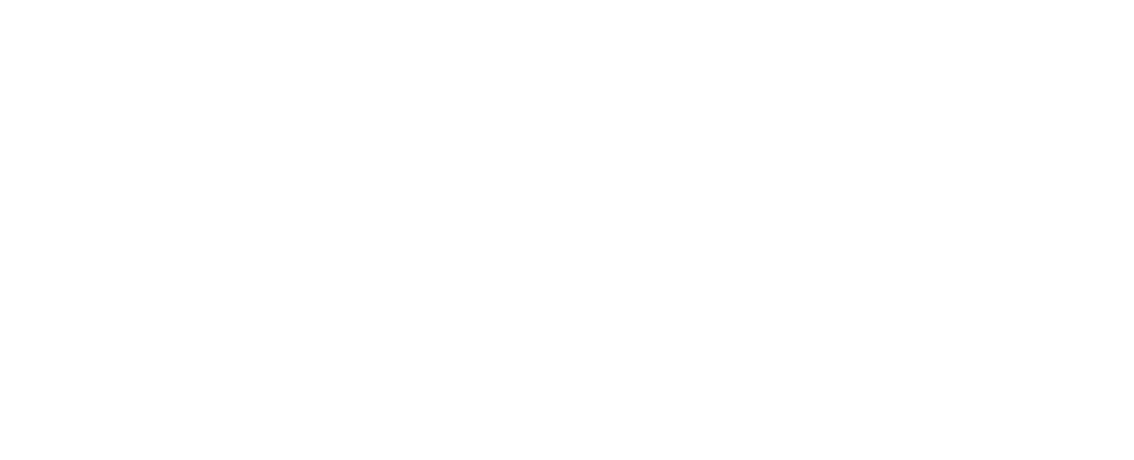 DSS IEA Logo Tagline White RGB HR